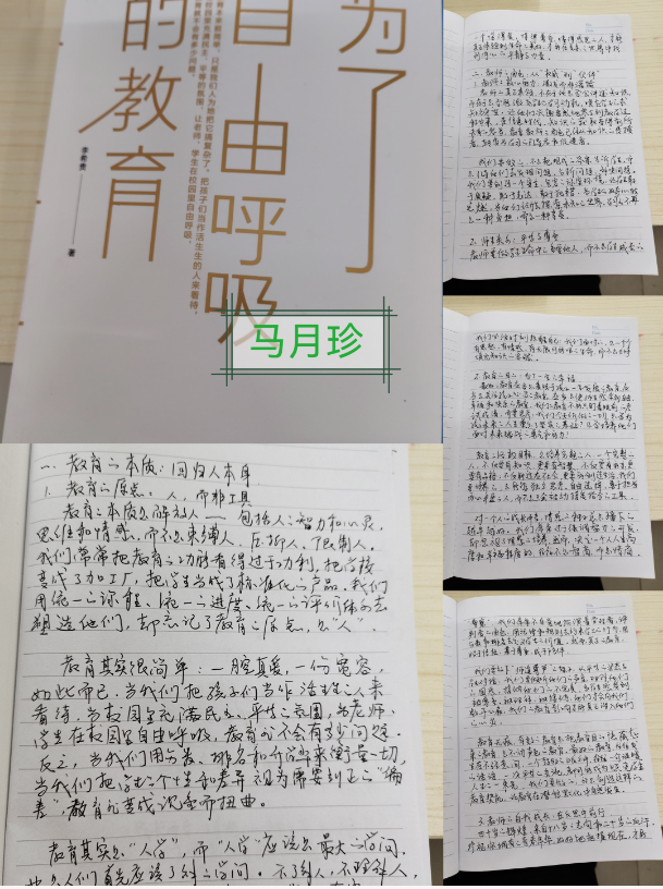 bf4773930b7a4ab3b823a1c82040b851.png