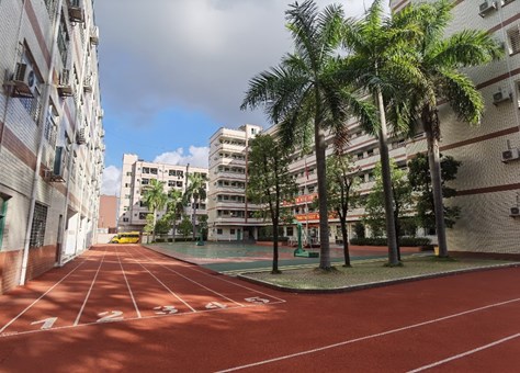 六一学校校园风光